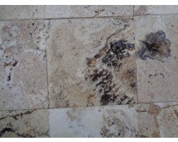 Travertin Philadelphia 40x40 1,2 cm Brossé 2