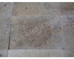 Travertin Philadelphia 40x60 1,2 cm Brossé 2