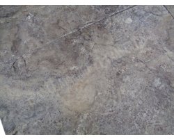 Travertin Silver 60x80 3 cm Antique  2