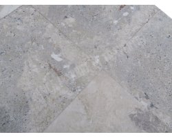 Marbre Beige Marfil Silver Shell 60x60x1,5 cm Poli  2