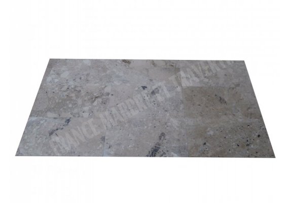 Marbre Marfil Silver Shell 30x60x2 cm Poli  1