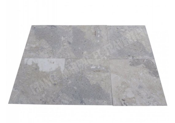 Marbre Beige Marfil Silver Shell 60x60x1,5 cm Poli  1