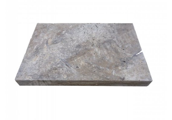 Travertin Silver Nez de Marche 40x60 6 cm Droit  1